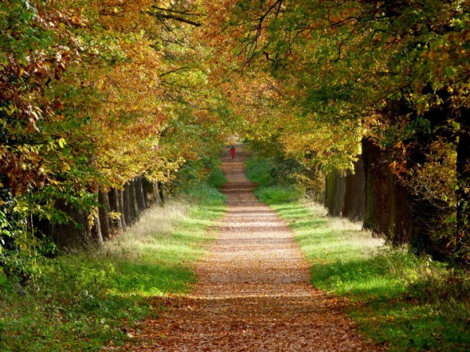 Ein Maennlein steht im Walde