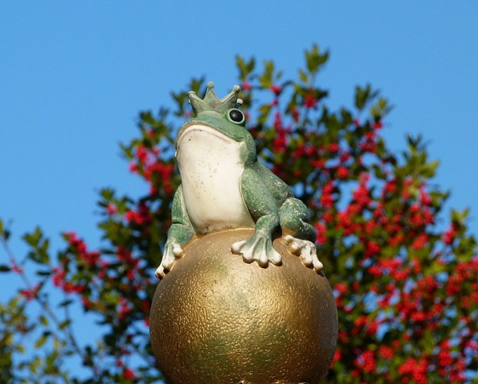 Froschkoenig