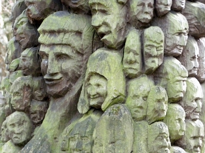 Ausschnitt aus dem Baumstamm