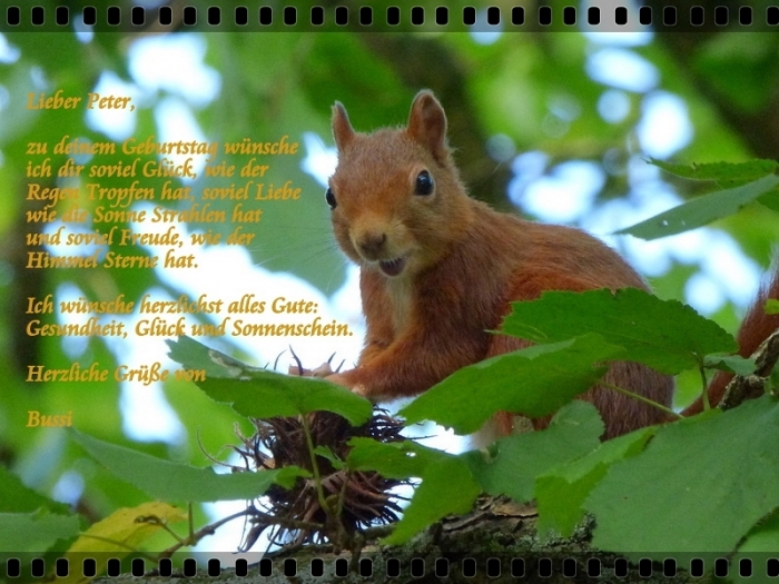 Happy Birthday Peter