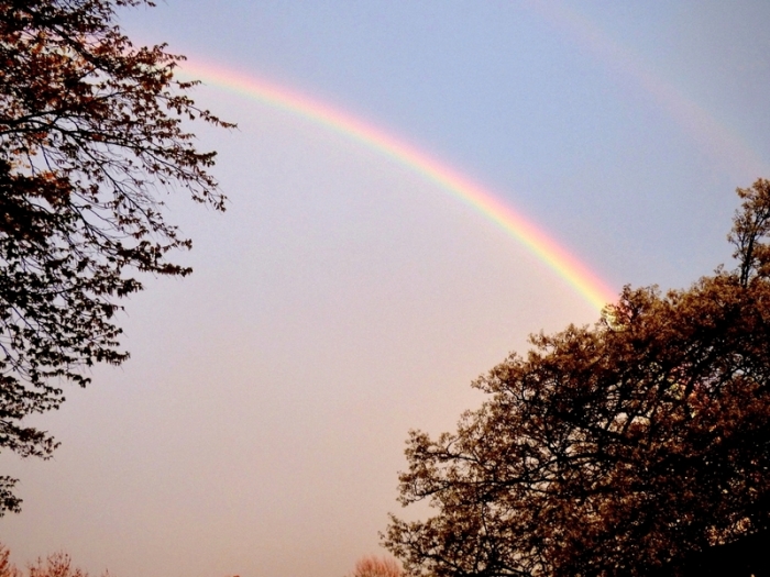 Regenbogen