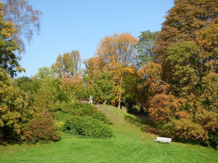 Parklandschaft