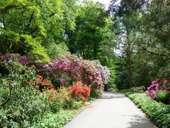 Weg durch die Harmonie