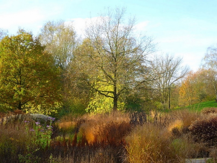 Landschaft im November