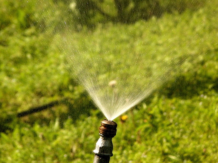 Wasserstrahl