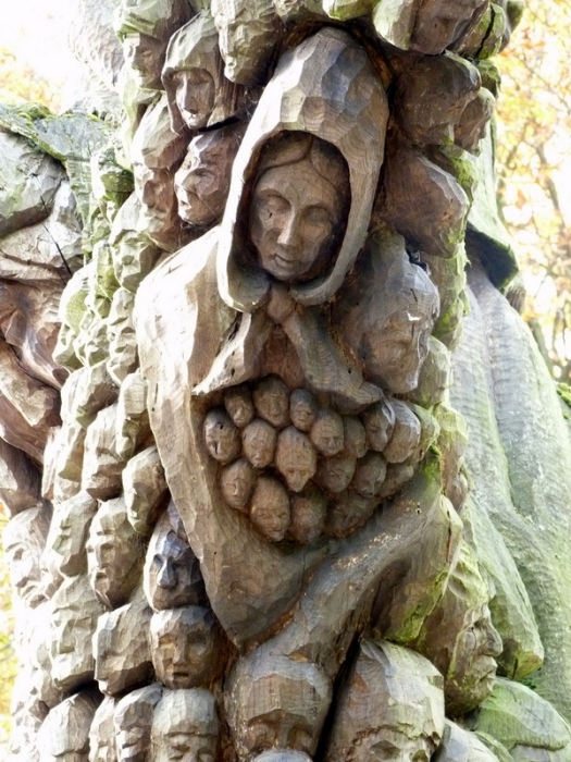 Ausschnitt aus dem Baumstamm