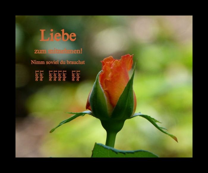 Liebe zum mitnehmen!