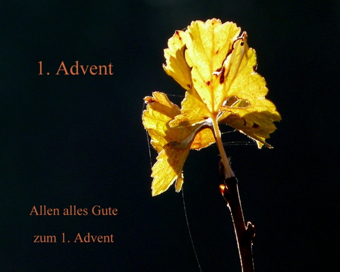 1. Advent