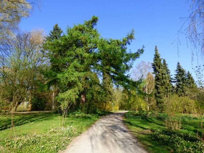 Parklandschaft