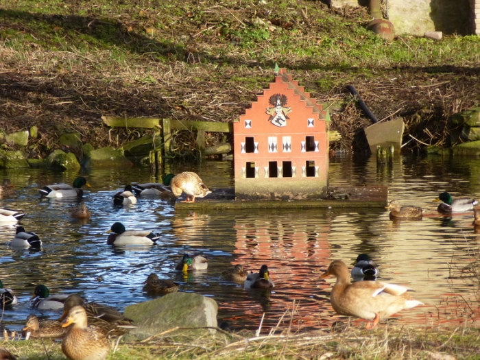 Wasserschloss für Enten