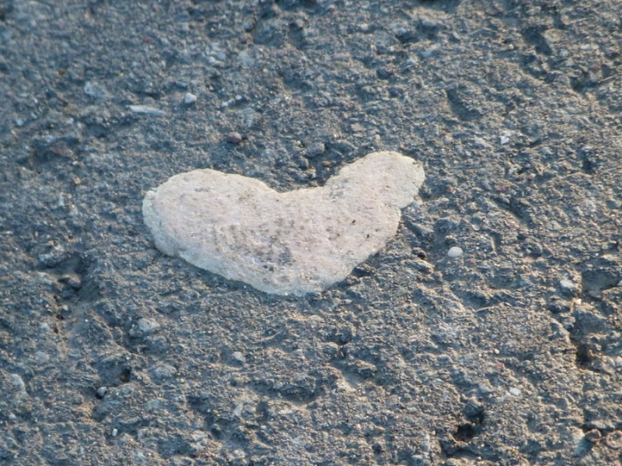 Ein Herz aus Stein