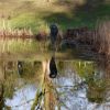 Spiegelung
