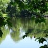 Still ruht der See