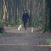 Im Wald