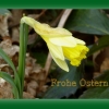 Frohe Ostern