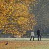 Im Park