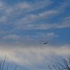 Himmel