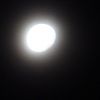 Moonlight