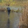 Teich zugefroren