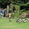 Menschen und Tiere