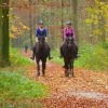 Reiterinnen Im Wald