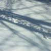 Schatten und Spuren im Schnee