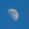 Mond