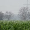 Nebel