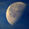 Mond