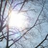 Sonne