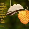 Leben