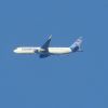 Condor