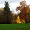 Herbstleuchten