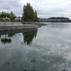 Phönixsee