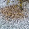 Herbst und Winter
