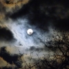 Mondnachtstimmung