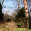 Im Licht und Schatten