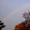 Regenbogen
