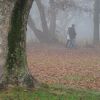 Spaziergänger im Nebel