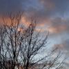 Abenddämmerung
