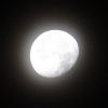Mond