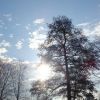 Sonne