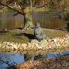 Vogelinsel