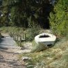 Dünenlandschaft im Rombergpark