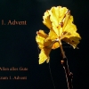1. Advent