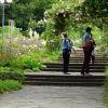 Im Rosengarten
