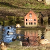 Wasserschloss für Enten