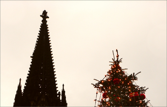 Kölner Dom und Weihnachtstanne