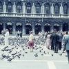 Rhonda: Markusplatz in Venedig 1959
