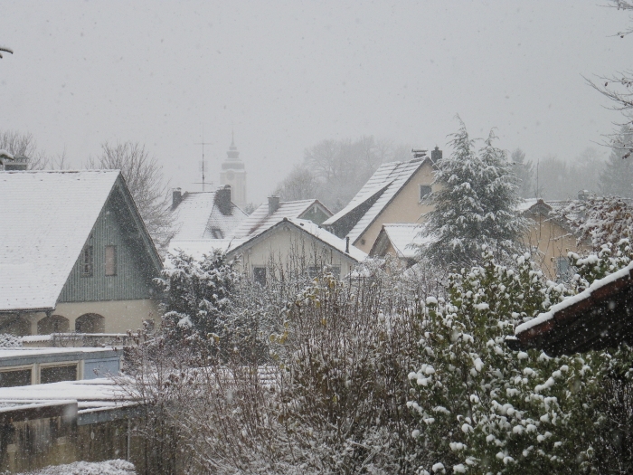 Graziella: Erster Schneefall im November im Allgäu